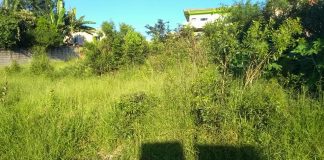 Moradora denuncia lote sujo no bairro São Judas Tadeu e cobra limpeza