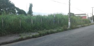 Lote sujo gera reclamação no bairro Chapada