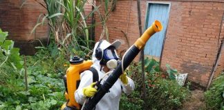 Lafaiete registra 15 casos de dengue e 192 estão sob investigação