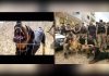 Zambo, o cão da PM que atuava no combate ao crime morre em Lafaiete