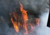 Em sete meses, Minas Gerais tem o maior número de incêndios em 11 anos