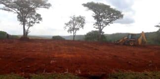 Obra do Curral Regional será licitada dia 31