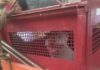 Bombeiros capturam pitbull que estava solto na rua atacando pessoas e outros cães