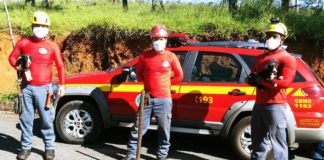 Bombeiros salvam cães em local de difícil acesso