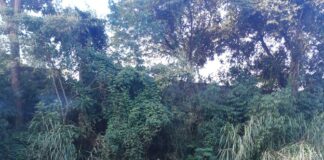 Corpo de homem é encontrado no rio Maranhão