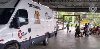 Castramóvel vai atender no bairro Pires em Congonhas