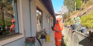 Bombeiros capturam cobra de grande porte em residência