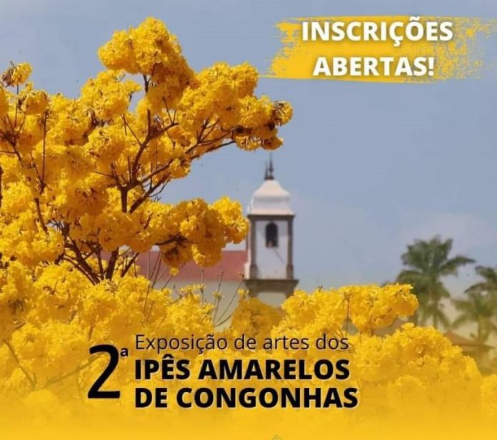 Ipês_Amarelos