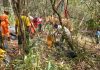 Égua atola pela segunda vez em lamaçal e é novamente salva pelos bombeiros de Lafaiete