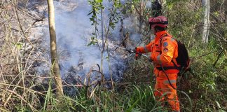 Bombeiros de Barbacena combatem cinco grandes incêndios em vegetação