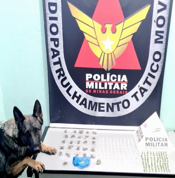 Cão_farejador