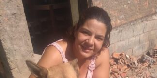 Tutora procura cão que fugiu nas imediações de Cemitério Jardim do Éden: “Meus filhos estão chorando”