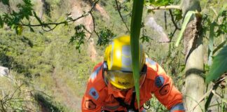 Bombeiros de Lafaiete resgatam cão que caiu de barranco