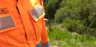 Bombeiros de Lafaiete resgatam filhote de cão