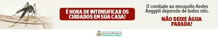 Campanha dengue