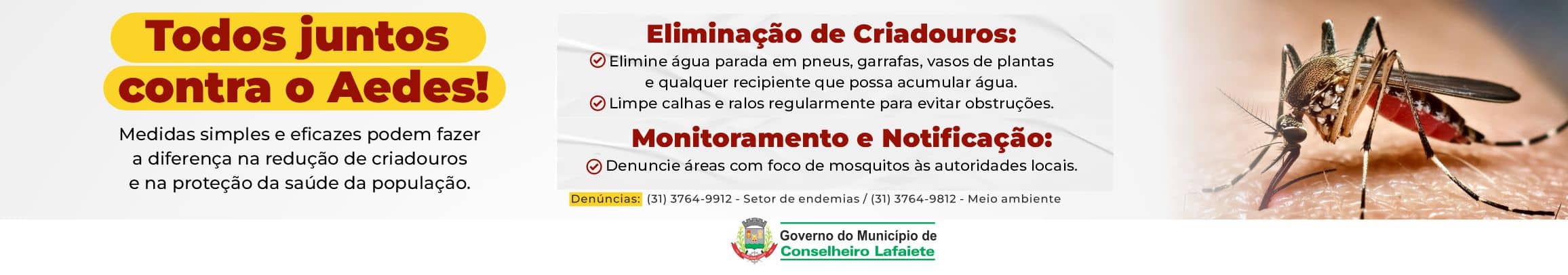 Campanha dengue