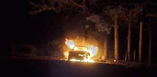 Incêndio em veículo mobiliza brigada na MG-275