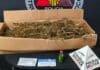 Suspeitos de plantar maconha fogem de abordagem policial em Lafaiete