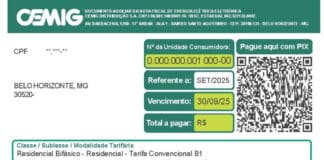 Saiba como evitar golpes na conta de luz e entenda as mudanças na fatura da Cemig