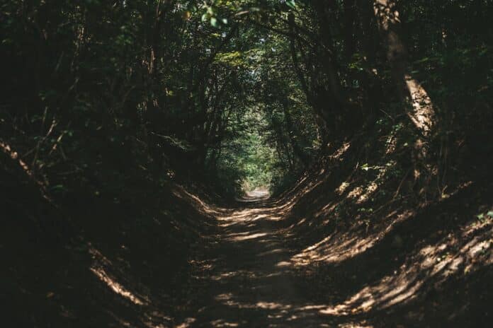 featured-image-parque-serra-do-cipo-cachoeiras-trilhas