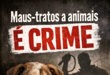 Mulher acusada de maus-tratos a cão de rua é multada e exonerada de cargo público