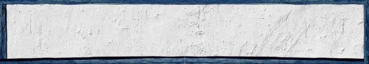 Banner CSN Festiva
