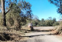 Força da comunidade: Moradores de Três Barras se unem para realizar manutenção de estrada em Lafaiete