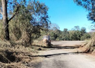 Força da comunidade: Moradores de Três Barras se unem para realizar manutenção de estrada em Lafaiete