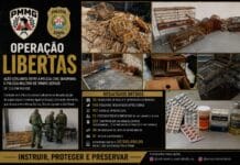 Operação conjunta desarticula organização criminosa envolvida com o tráfico interestadual de animais silvestres
