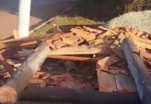 Abrigo de ônibus cai sobre criança