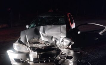 Batida entre carros de passeio deixa dois mortos na MG-448
