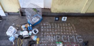 Grande quantidade de drogas é apreendida pela PM durante operação; jovem foi preso