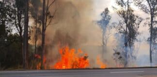 Período de seca concentra mais de 75% dos incêndios às margens da BR-040 e reforça alerta para prevenção