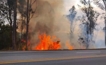 Período de seca concentra mais de 75% dos incêndios às margens da BR-040 e reforça alerta para prevenção