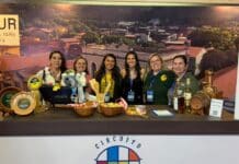 Circuito Villas e Fazendas participa da Travel Next 2026 e promove destinos e experiências turísticas da região