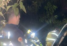Condutor é socorrido após capotamento de veículo na MG-129 em Lafaiete