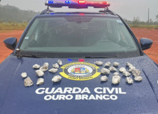 Guarda Civil Municipal localiza droga em terreno