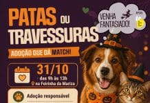 Prefeitura de Ouro Branco promove evento de adoção responsável de cães e gatos com temática de Halloween